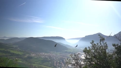 Birds Soaring Above Mountain Valley