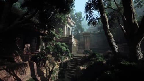 Dense Forest Teeming With Trees