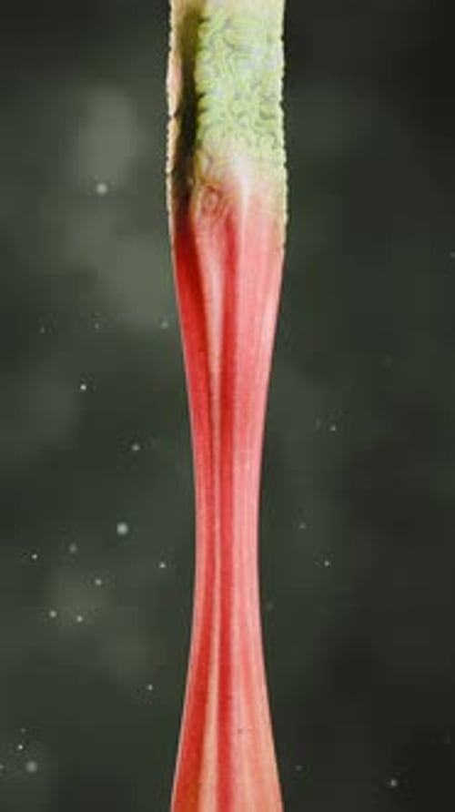 3D Rendering of Cloth Shapes Floating