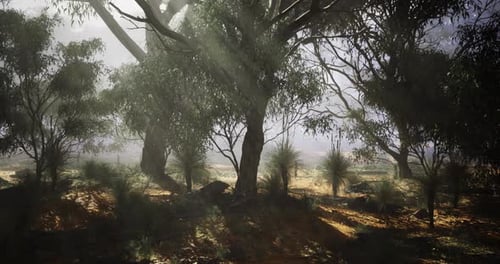 Atmospheric 3D Forest with Sunlight Rays Animation