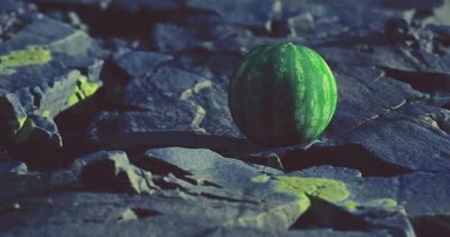 Vibrant Watermelon Resting on Textured Rocky Surface Under Dim Light