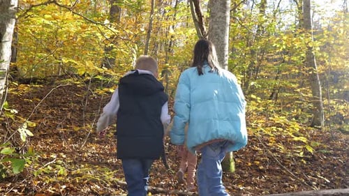 Three Children Boy and Girls in Warm Jackets Exploring Forest Nature and Environment on Sunny Day
