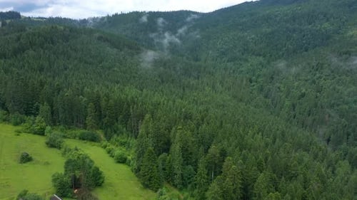 Flying Over The Cloudy Evening Forest 24