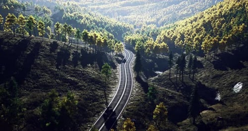Winding Road Through Vibrant Forest Landscape on a Sunny Day