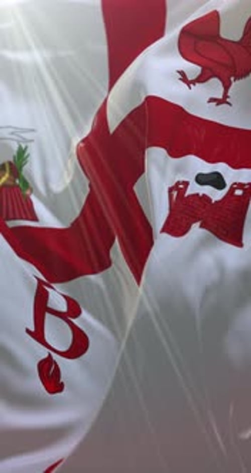 Vertical Realistic Waving Flags Loop Background Animation