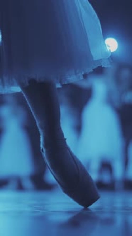 Close up of a ballet dancer's feet as she corrects pointe on the stone embankment.
