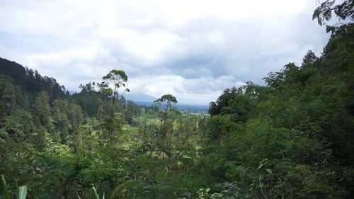 natural scenery mountains natural panorama hills, and forest of tall green trees and slopes of green