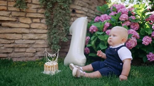 Baby Boy at First Birthday Party on Grass