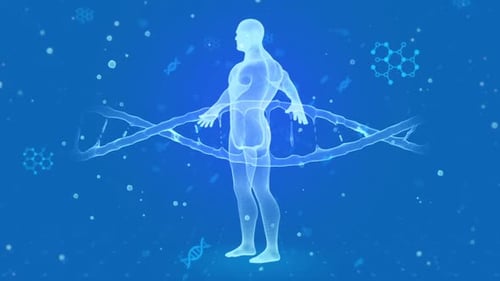 Futuristic Digital Human Body and DNA Helix Science Animation