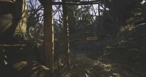 Archery Practice at Dawn in a Wooded Area with Detailed Surroundings
