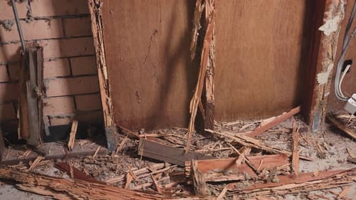 Easily ripping out a timber wall by hand that has been damaged by termites and white ants