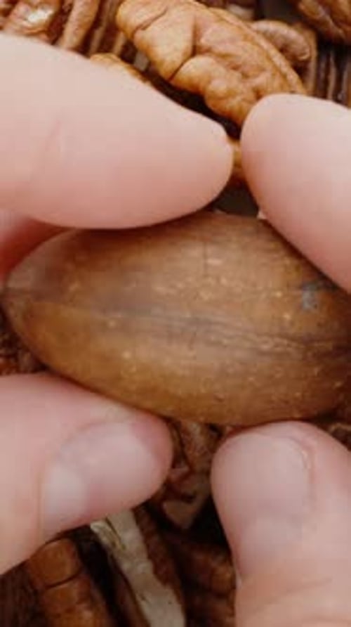 Vertical video. Top-down close-up of a man's hands peeling a cracked pecan from its shell.