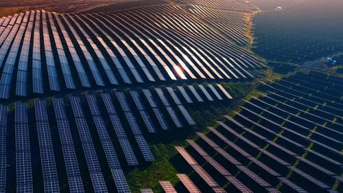Solar panels cover a large land area in a renewable energy field.