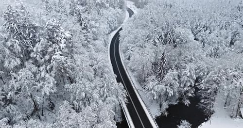 Beautiful frozen forest with snow-covered trees and asphalt road.