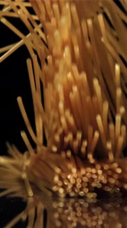 Dry Spaghetti Falling on a Black Background Filmed on a Highspeed Camera at 1000 Fps