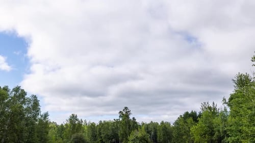 Time Lapse of the clouds above a forest