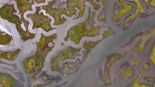 Aerial view of winding river and marshland, Scotland.