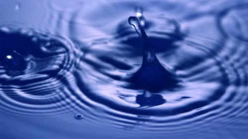 Water Drops