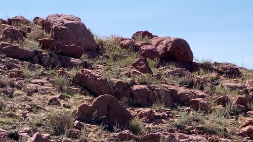 Eroded reddish granite stones on rocky mountain slope, Royal Gorge, Colorado