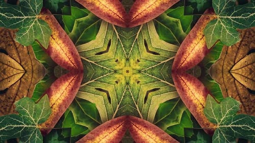 Organic Leaves and Berries Kaleidoscope Abstract Background