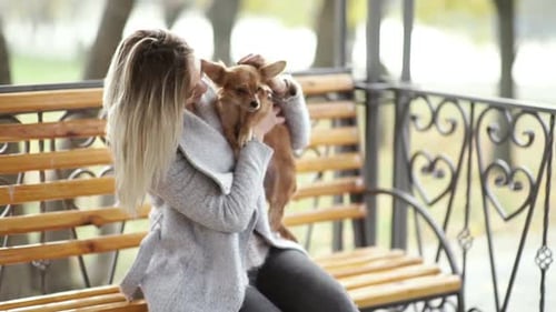 Young Beautiful Woman in the Park with Her Funny Longhaired Chihuahua Dog