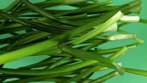 Fresh Green Onions Flying on a Green Background Filmed on a Highspeed Camera at 1000 Fps
