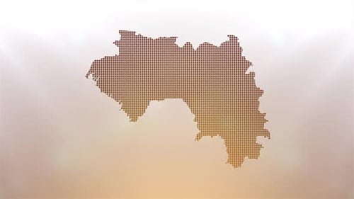 Animated Guinea Map Reveal with Glowing Pixel Grid
