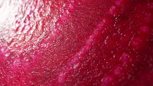 A vibrant half beetroot with intricate details