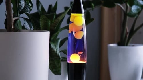 Yellow and blue lava lamp standing on working desk with plants in the office or home