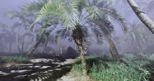 Misty Tropical Jungle Path with Swaying Palm Trees