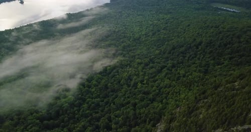 Aerial view of a very dense and misty forest surrounded by a river and mountains
