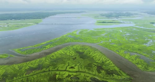 Aerial View of Georgia Wetlands with Green Vegetation Between Water Inlets and Waterways Natural