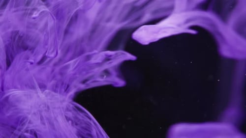 Abstract Purple Ink Swirls on Black Background