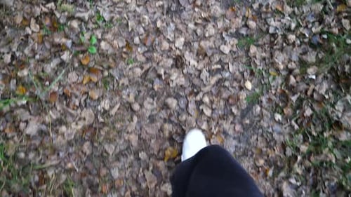 Point of View to Male Feet in Sneakers Stepping Along Path Outdoor Legs of Young Man Going Along