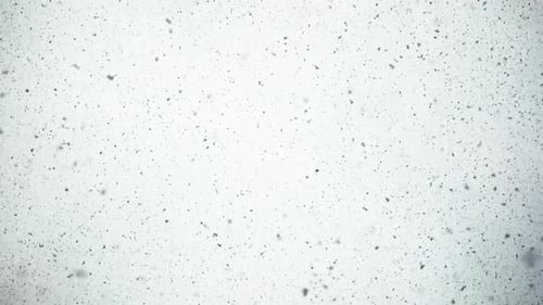 Erster Schnee - 4K