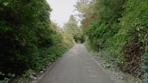 walking on a driveway or path towards to an irish farm or estate