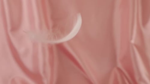 White swan feathers fall on a silky pastel pink background. Slow motion.