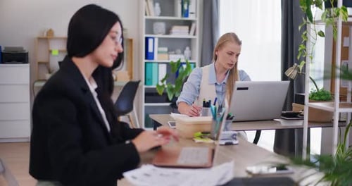 Two Female Office Workers Concentrated on Work
