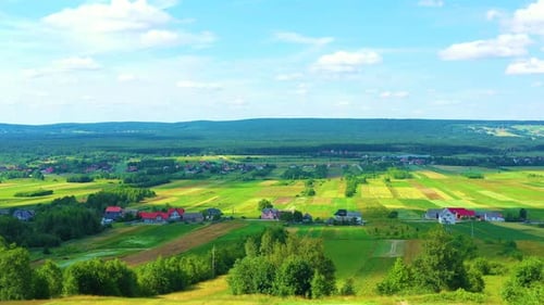 4K Aerial view of agriculture in rice fields for cultivation. yellow rice field waving in the wind,