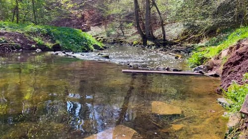 Close view of creek flowing continuously through stunning park on sunny summer day.
