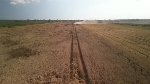 Luftbild des Weizenfeldes in der Ukraine