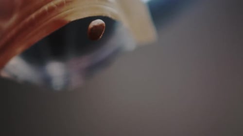 Coffee Beans Falling from Bag in Slow Motion