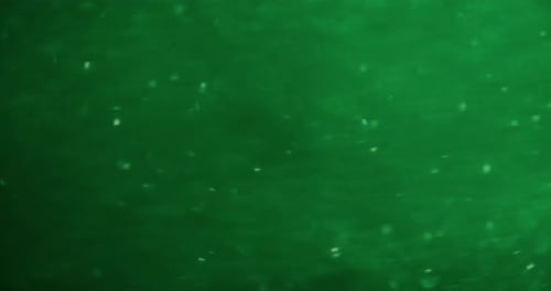 Blur Glimmer Light Background Lens Flare Sparkle