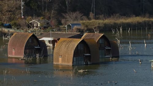 Quaint Flooded Houses in Natural Lakeside Landscape