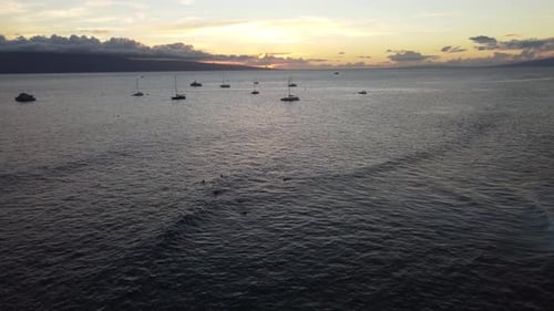 Hawaiian sunset and surfers at the coast of Maui