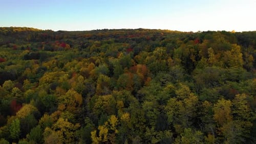 vue aérienne de la forêt au lever du soleil, en automne, en automne