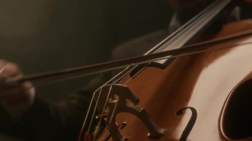 Musician Performing with Cello