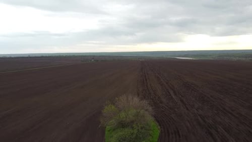 Blue tractor with yellow seeder working on the field in Ukraine OA