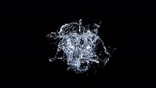 Fluid Water Splash Reveal Animation