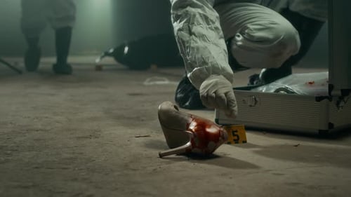 Forensic Investigators Collect Evidence at Crime Scene